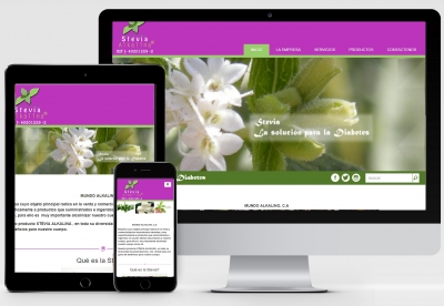 stevia-1
