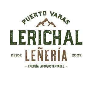 icono-lerichal